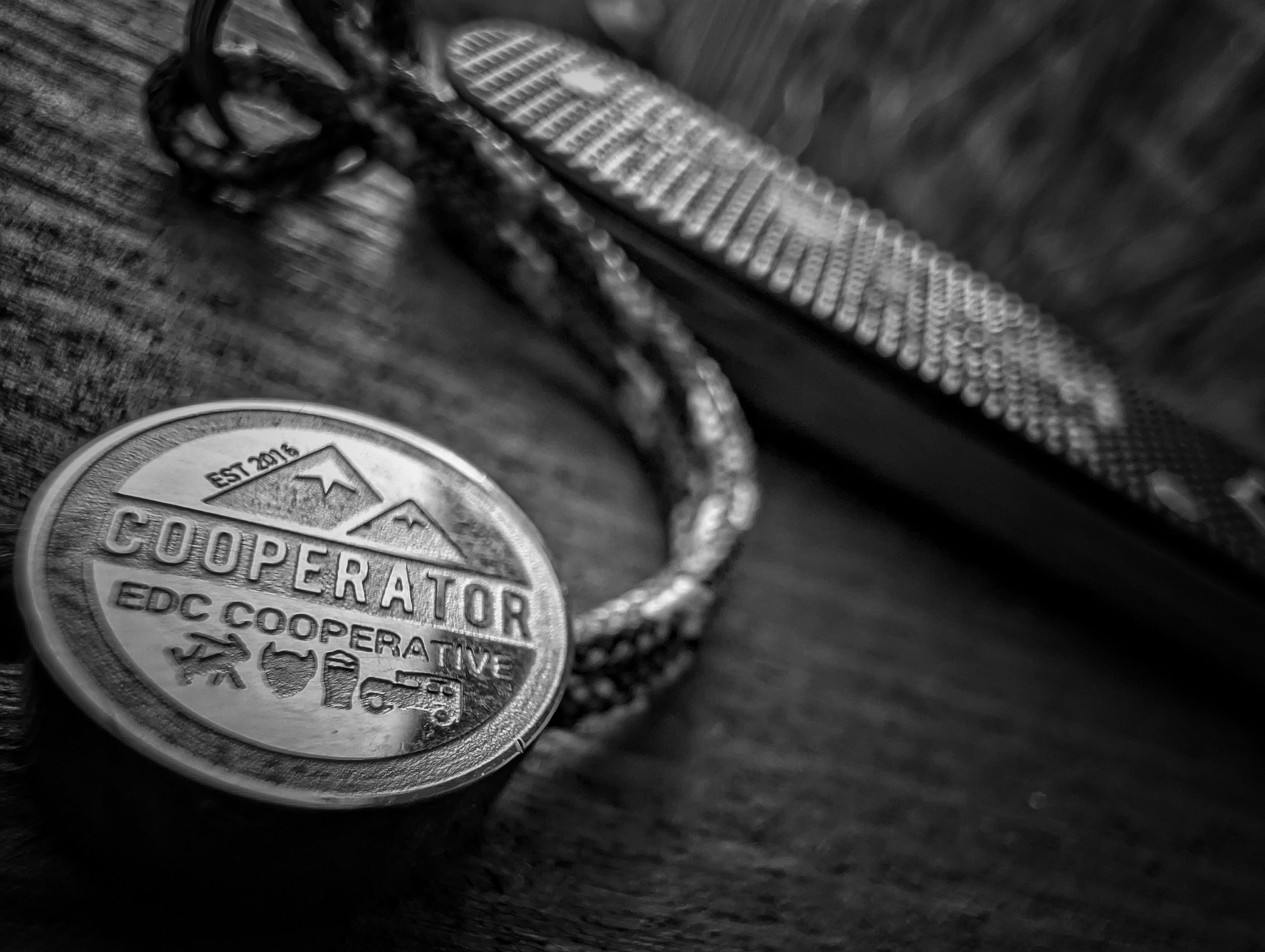 Cooperator bead
