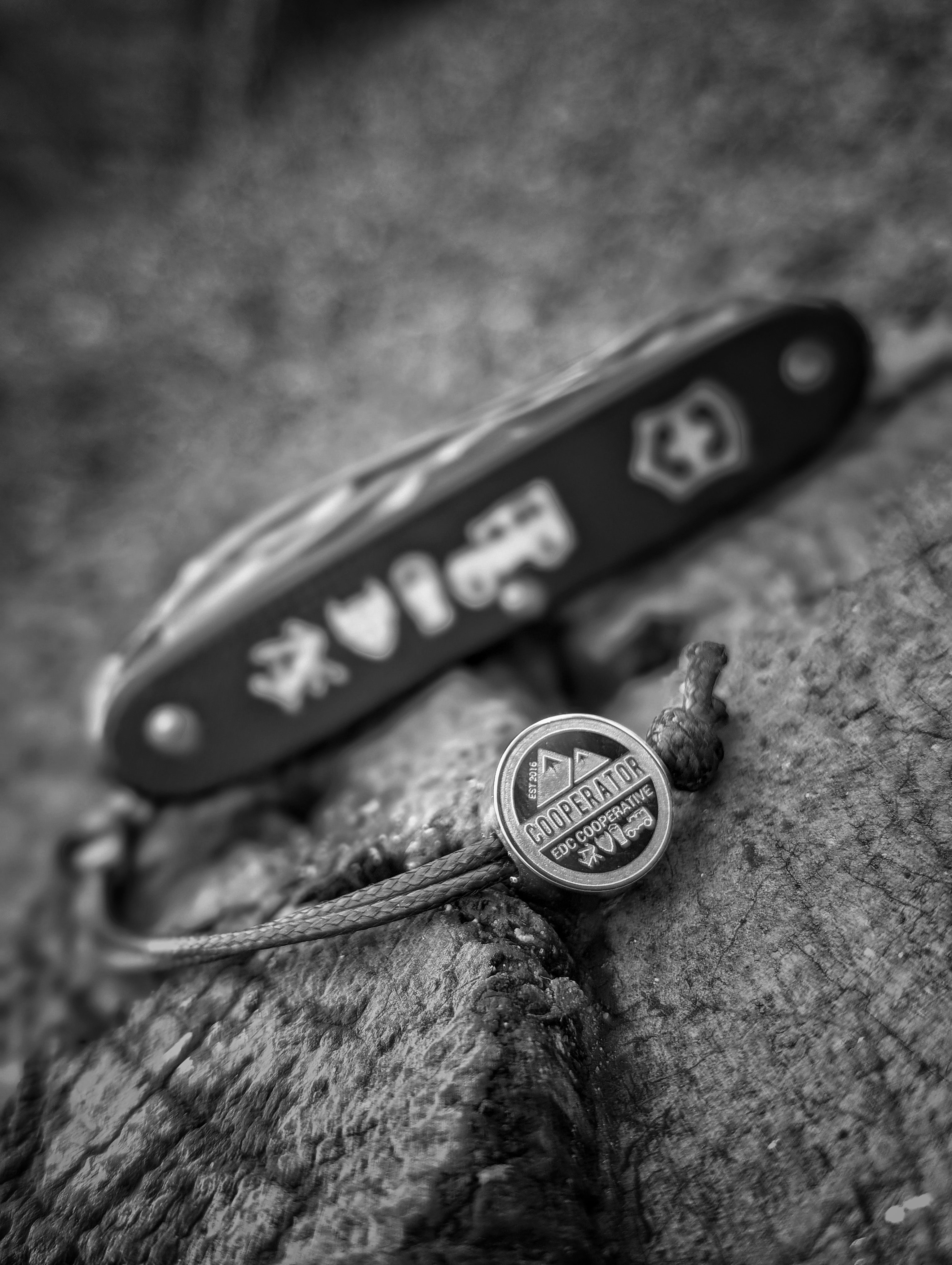 Cooperator bead